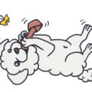 상암동청심연한의원 이미지