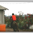 지리산목장 이미지