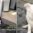 적교식당 네이버블로그