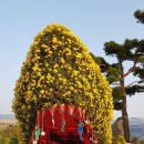 거제 섬꽃축제장 후기(2) 이미지