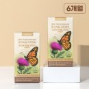 리프레쉬 이미지