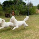 박사펜션 이미지