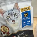 플랜제로 | [고양이 사료 후기] 퓨리나 프로플랜 인도어 헤어볼 - 콜라와 제로의 사료 이야기