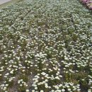 순천만풍경 이미지