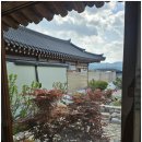 조양펜션 이미지