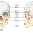제이미 피티 스튜디오 이미지