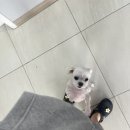 로아동물병원 이미지