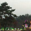 힐조 이미지