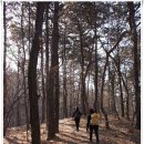 버스정류장 05-293 | [20110220]서초알프스종주(구룡산ㆍ대모산ㆍ인능산ㆍ청계산ㆍ우면산) - 2부