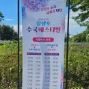 2026년 장생포 수국축제 일정 셔틀버스 주차장 개화상태 인근 맛집 추천