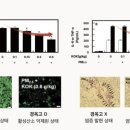 상봉경희한의원 이미지