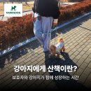코어핸즈 | 양산반려동물 산책은 단순한 외출이 아닌, 보호자와 강아지가 함께 성장하는 시간! 핸즈독 유치원