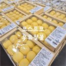 말랑달콤 | 코스트코 우유찰볼 후기, 쫀득말랑달콤 커피와 먹기 좋은 신상베이커리