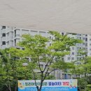 고래힐 물놀이터, 두리어린이공원 물놀이터 개장 현황, 매주 월요일은 휴무, 주차 꿀팁(평일, 주말 사진...