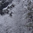 진위고등학교 이미지