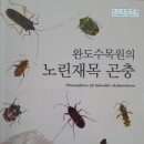 완도수목원 이미지