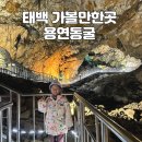 365세이트타운 정 | 용연동굴 : 태백 가볼만한곳