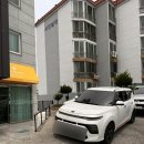 회원동145 | 창원 마산 회원동 떡케이크 맛집 앙금 플라워 케이크 나의햇살에게