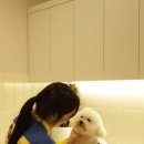 옐레드 시흥은계호수점 이미지