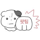 도테라아로마라운지 이미지