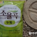 섬진강누룩꽃