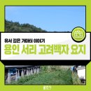 서리상반고려백자요지 | [용인 여행] 세계에서 가장 긴 가마터 &#39;용인 서리 고려백자 요지&#39;