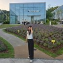 2026년 5월 셋째주 일상💚