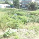 판암동150 이미지