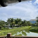 뉴월드카써비스 이미지