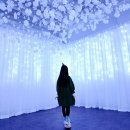 필룩스조명박물관 | 크리스마스 아이와 가볼만한곳 양주 필룩스 조명박물관