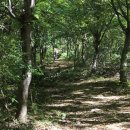 상징분수, 워터월 이미지