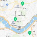 서초중앙로33길 15 이미지