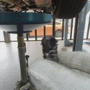 오일프라임 이미지