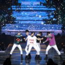 모아 dog 이미지