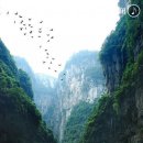 동성농장 이미지