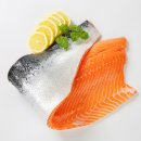 송정송어장 이미지