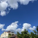 푸른농원민박 | 🌷폭염주의보에 떠난 1박 2일 순천 여행🍀