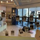 피터펫 애견카페 부산북구점 이미지