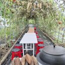 초원어린이집 이미지