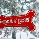 웨그(Wag) 이미지