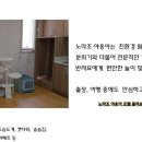 노라조 야옹아 네이버블로그