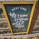 수선화하바리움 네이버블로그