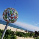 강릉육사시미 - 금천구 독산로75길 23 | 강릉육사시미