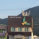 어청도 탐조-에필로그