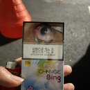 에쎄 체인지 빙 Bing