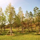 부산시민공원 이미지