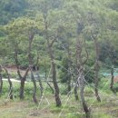 행복이발 이미지