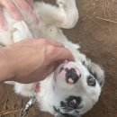 재일목장 이미지