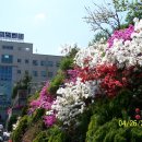 동산동신 이미지