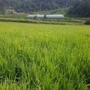 물안골농장 이미지